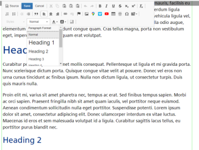 Headings shown in WYSIWYG editor