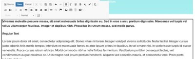Screenshot of WYSIWYG editor in use