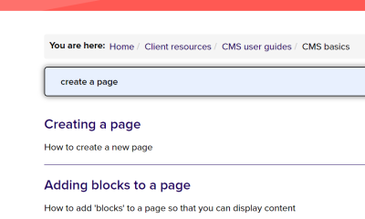Screenshot of website search