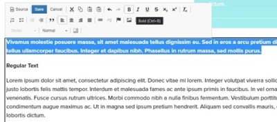 WYSIWYG editor screenshot with highlighted text
