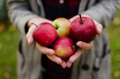 Person holding 4 red apples